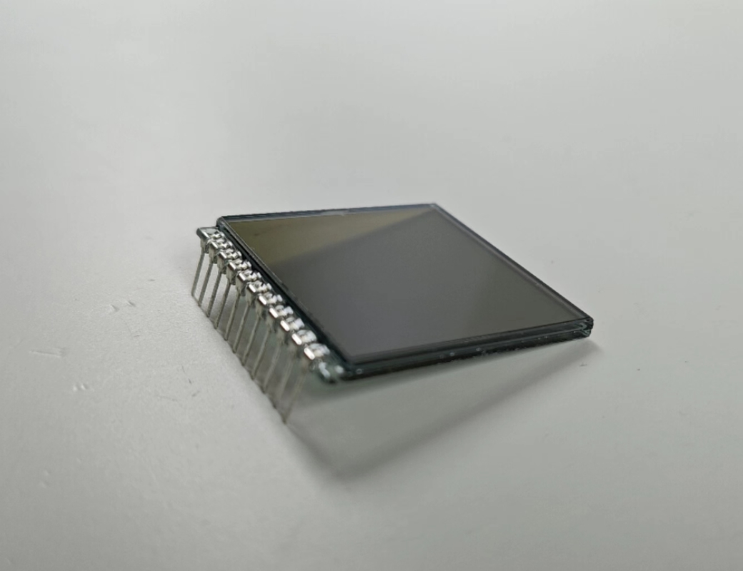 Pozytywny cyfrowy ekran FSTN 6 O Clock Custom Transmissive LCD Display TN Lcd Module
