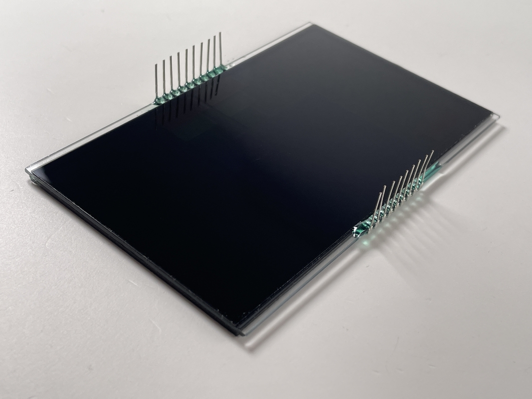 Ceny hurtowe VA Segment LCD Display Kolor PIN Control Screen Białe podświetlenie dla masażysty