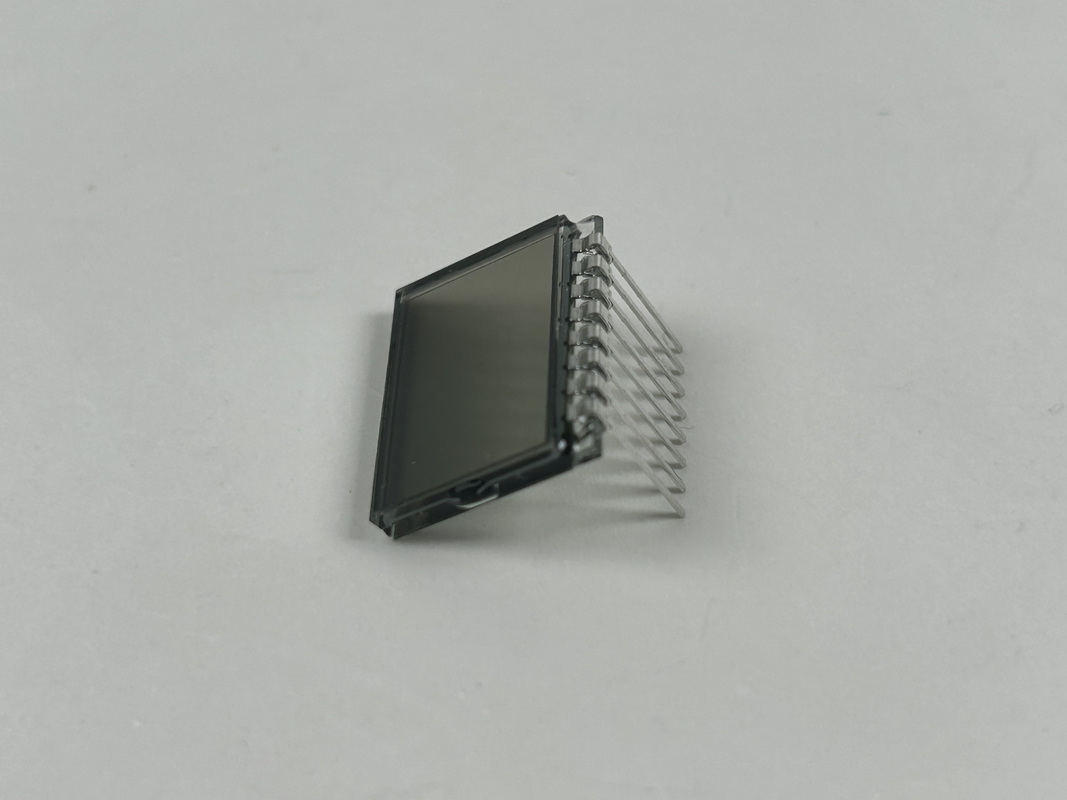 3.0 V Prozytywny wyświetlacz TN LCD Segment Kodu Ekran Dostosowywalny obrożek do szkolenia psów