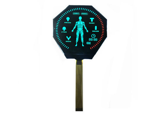 Zindywidualizowany wyświetlacz segmentowy LCD